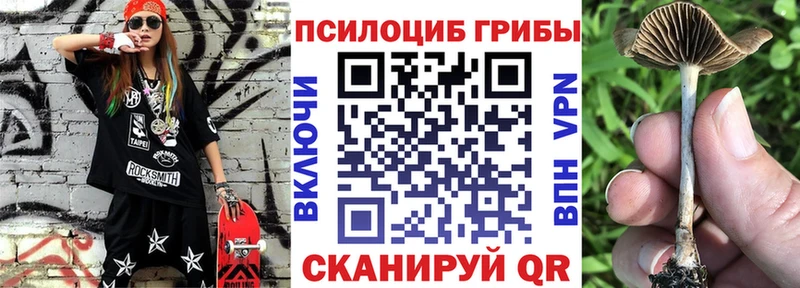 kraken онион  Звенигород  Псилоцибиновые грибы ЛСД 